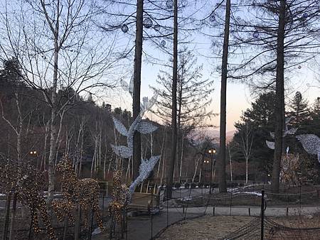 IMG_0014.JPG IMG_0014.JPG