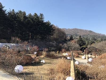 IMG_9968.JPG IMG_9968.JPG