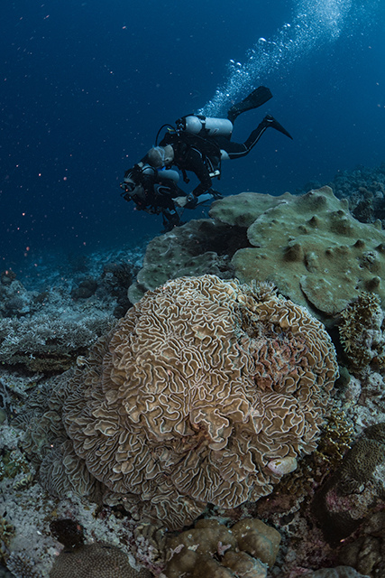 20190717_HOUSEREEF-24.jpg