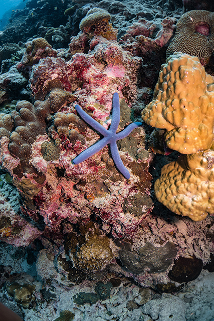 20190717_HOUSEREEF-16.jpg