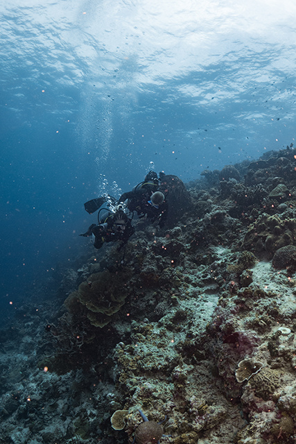 20190717_HOUSEREEF-44.jpg