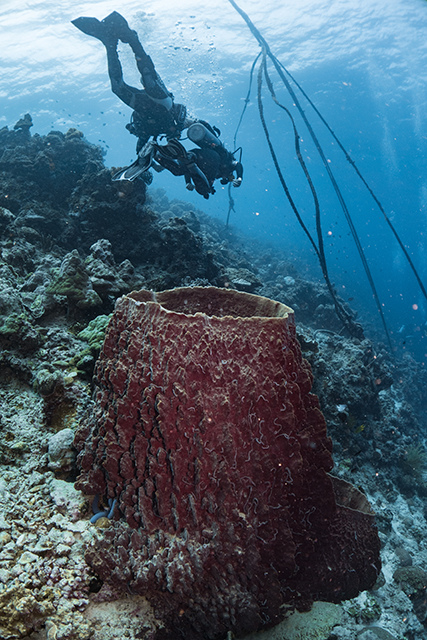 20190717_HOUSEREEF-48.jpg