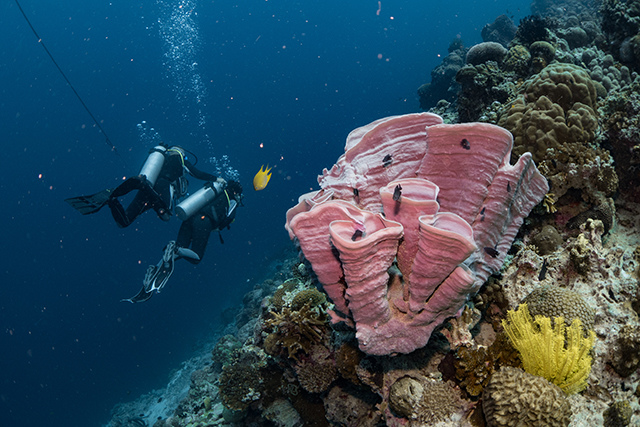 20190717_HOUSEREEF-63.jpg