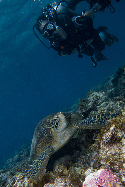 20190717_HOUSEREEF-82.jpg