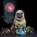 cute-pugs-game-of-thrones-pugs-of-westeros-4.jpg