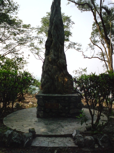 梅花湖南岸三清宮旁的靜園３