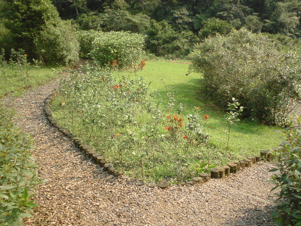 冬山鄉仁山植物園２