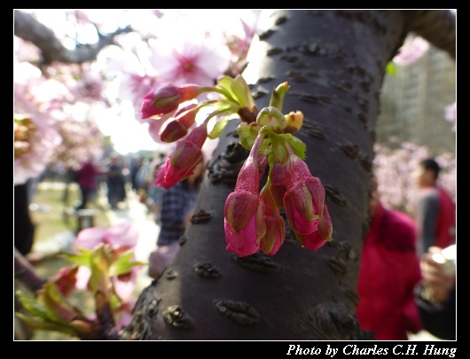 麗池公園_16.jpg