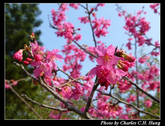 麗池公園_20.jpg