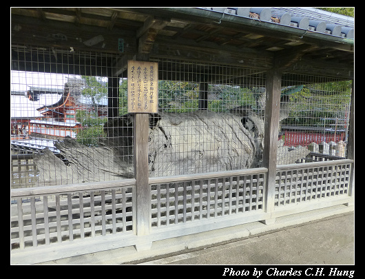 宮島神社_58.jpg