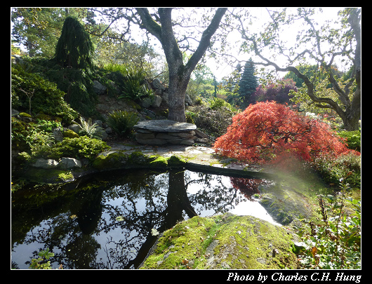 阿布哈茲花園_09.jpg