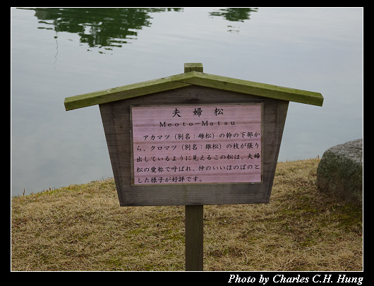 栗林公園_38.jpg