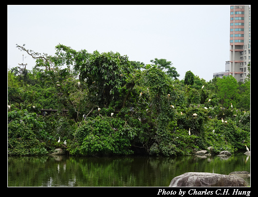 羅東運動公園_030.jpg