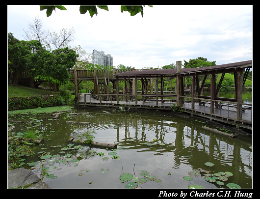 羅東運動公園_047.jpg