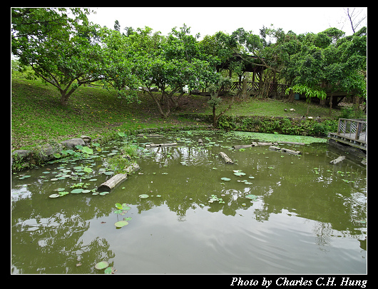 羅東運動公園_048.jpg