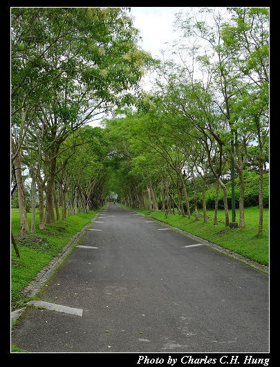 羅東運動公園_056.jpg