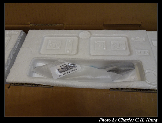 InFocus _018.jpg InFocus _018.jpg