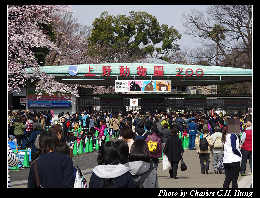 上野公園_006.jpg