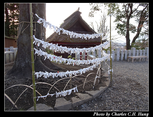 達磨寺_054.jpg