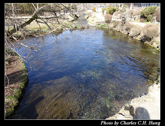 忍野八海_036.jpg