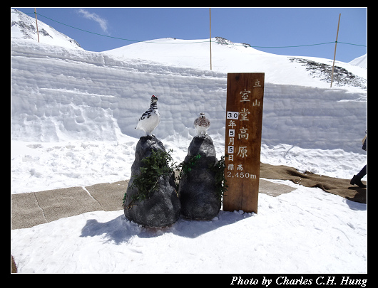 室堂高原_040.jpg