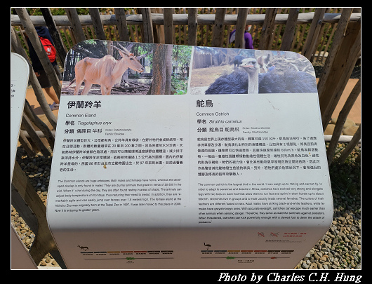 動物園_020.jpg