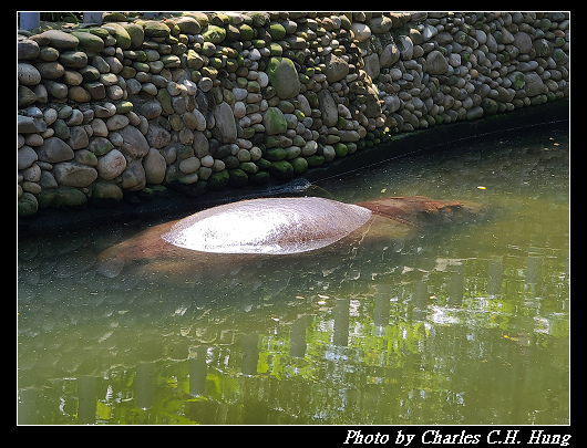 動物園_041.jpg