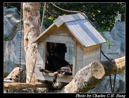 動物園_054.jpg