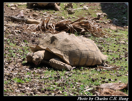 動物園_071.jpg