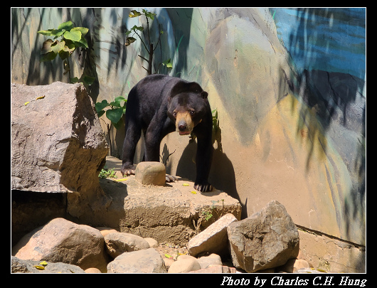 動物園_082.jpg