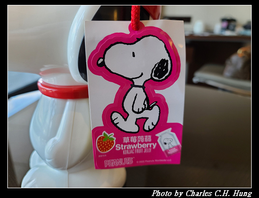 SNOOPY_003.jpg