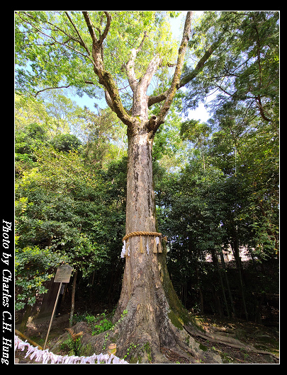 上神社_025.jpg