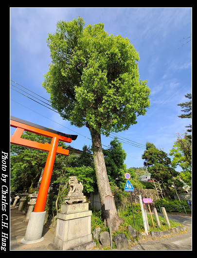 宇治神社_004.jpg