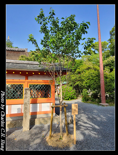 宇治神社_030.jpg