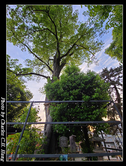 縣神社_016.jpg