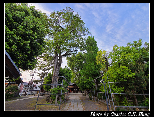 縣神社_025.jpg