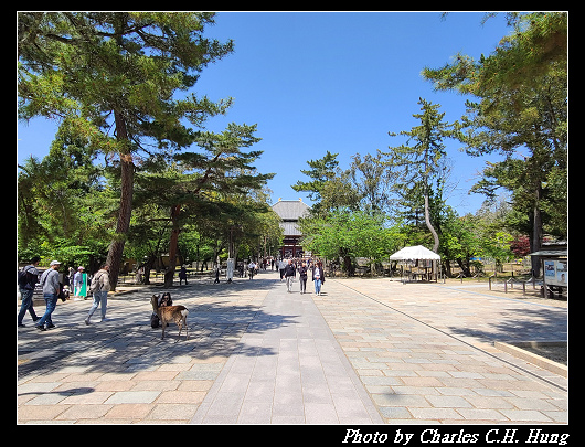 東大寺_022.jpg