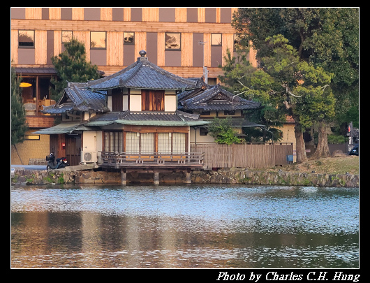 興福寺_047.jpg