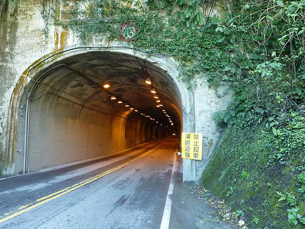 P1000940_調整大小