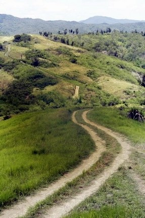 山頂道路錯綜複雜