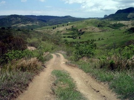 複雜的山路