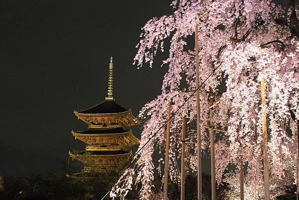 京都世界文化遺產