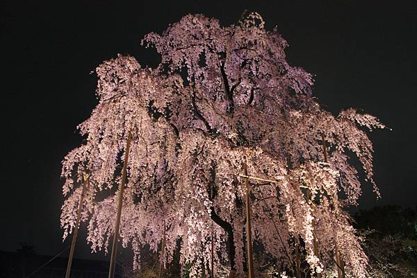 京都世界文化遺產