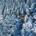 TN_太平山雪景