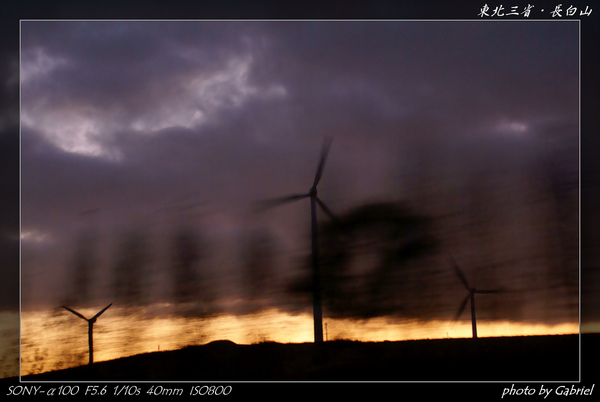 DSC04030.jpg