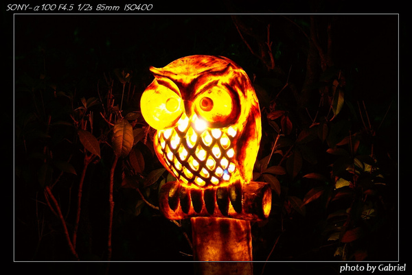 DSC05433.jpg DSC05433.jpg