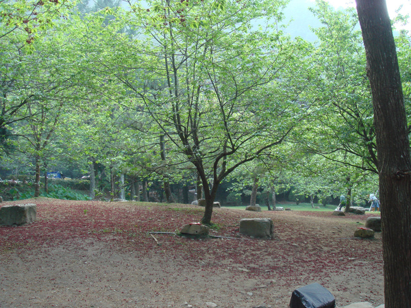 DSC09564.jpg DSC09564.jpg