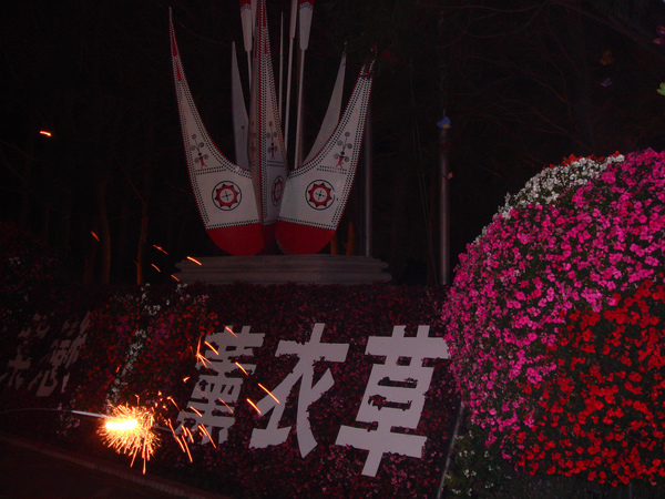 DSC09599.jpg DSC09599.jpg