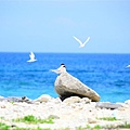 DSC_0577.JPG