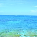 DSC_0596.JPG